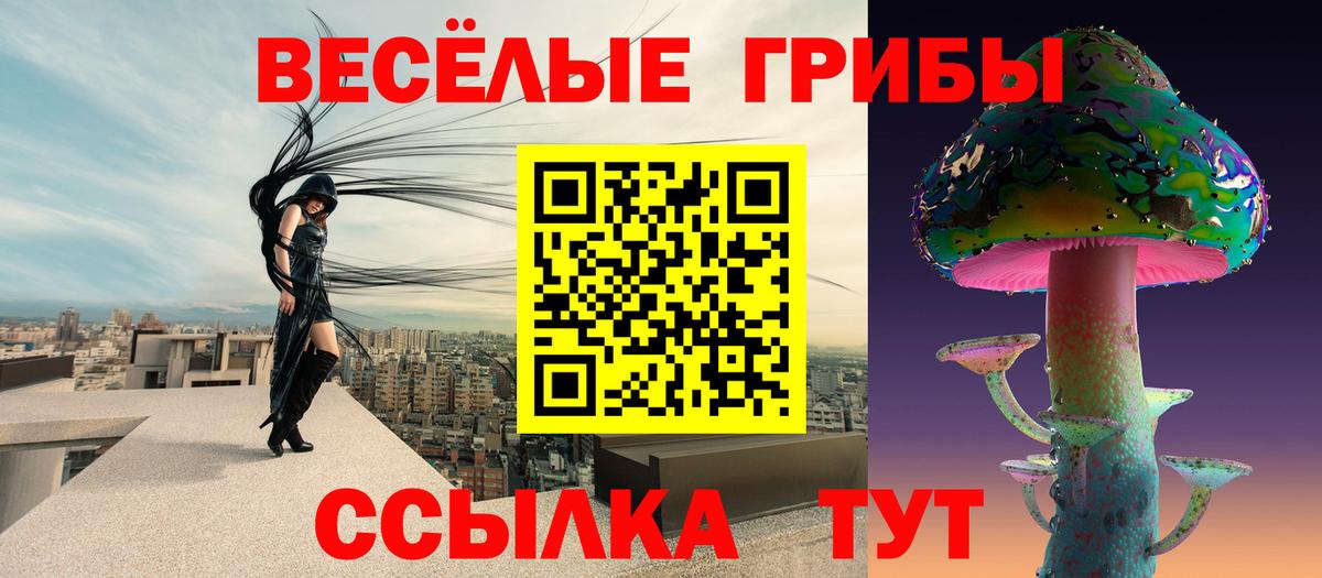 Псилоцибиновые грибы Cubensis Богданович