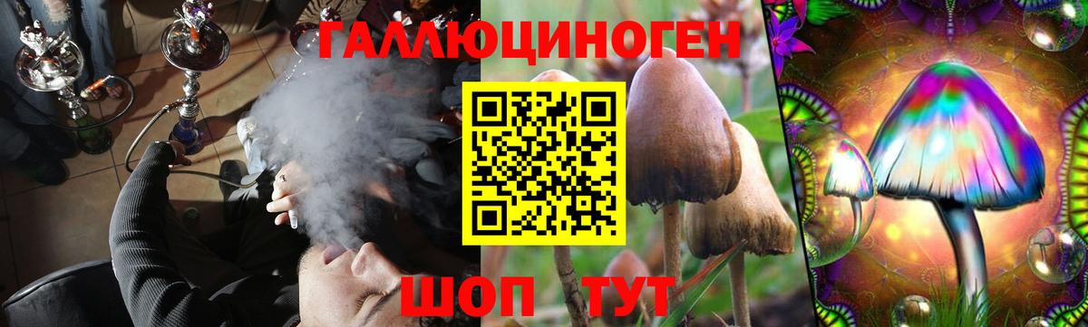 Галлюциногенные грибы Magic Shrooms  Вход с VPN  Богданович 